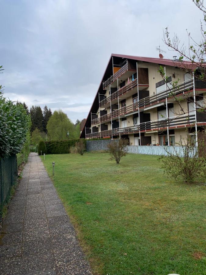 Ferienwohnung Lara Ludwigswinkel Exterior photo